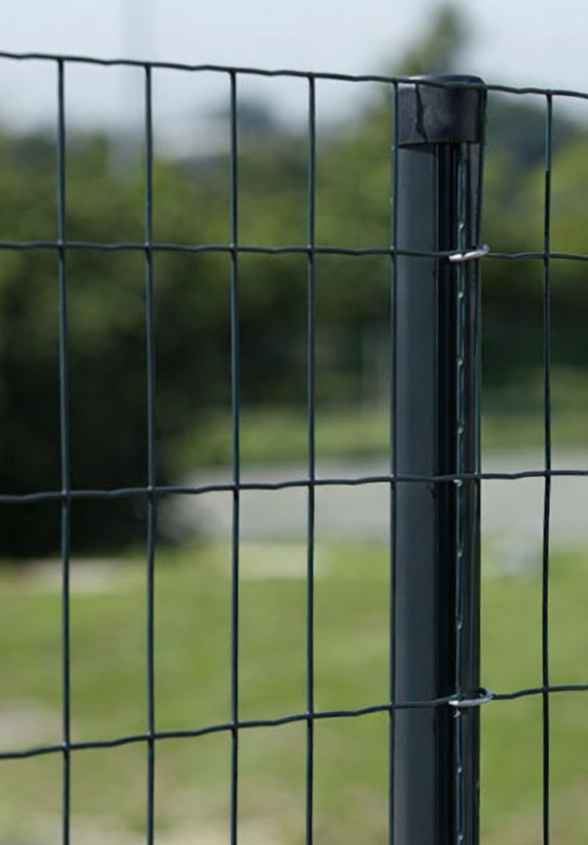 ChatGPT Image 13. 1. 2026, 11_02_39